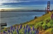 buyside west coast.jpg buyside west coast.jpg